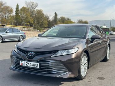 амортизатор тайота виш: Toyota Camry: 2021 г., 2 л, Вариатор, Гибрид, Седан