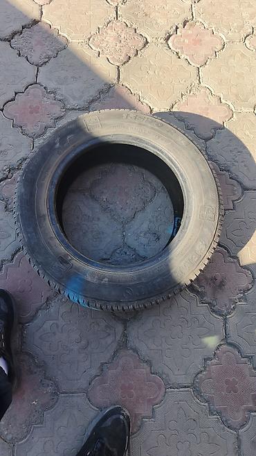 165 60 14: Зимняя шина Semperit Master-Grip 2 - Размер: 165/70 R14 81T - — 4