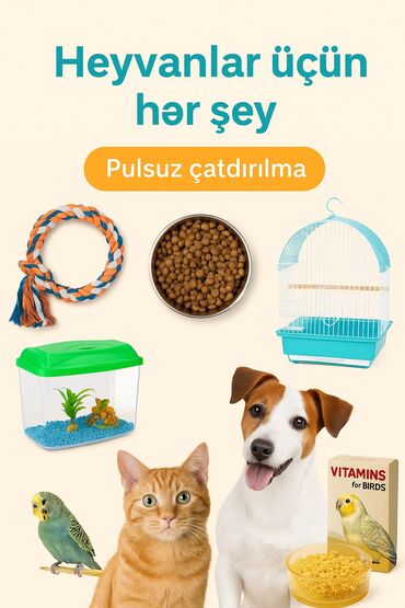 Daşıma çantaları: Ev heyvanlarınız üçün hər şey bizdə ✅ Keyfiyyətli məhsullar ✅ Münasib