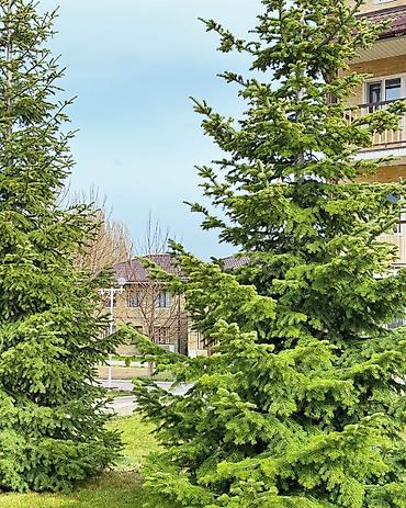 симирам: Срочно! Продаётся 3‑комнатный студийный таунхаус 78 м² на первой линии — 4