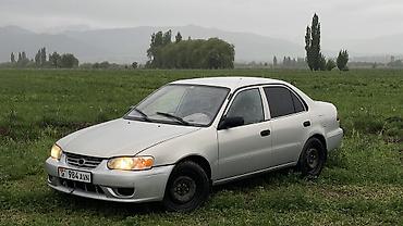 Toyota: Toyota Corolla: 2001 г., 1.8 л, Автомат, Бензин, Седан — 12