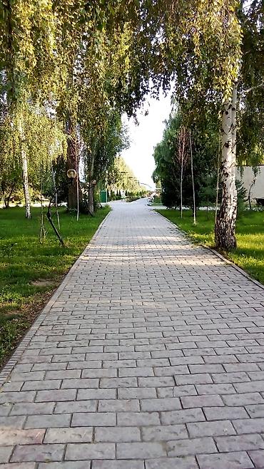 с хранения: Аренда квартиры на Иссык-Куле, Asia Palace, Сары-Ой, 7 мест, Цена Целиком за жилье — 2