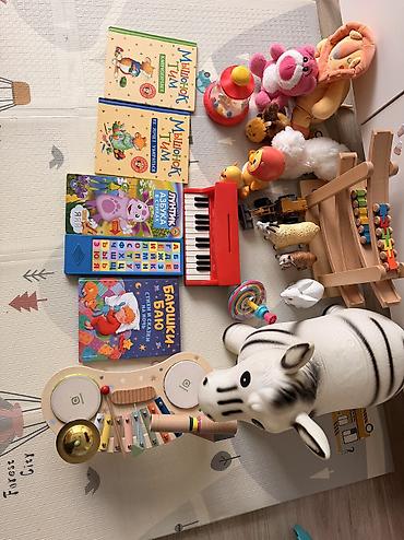 Продаю игрушки и книги всё одним лотом. По отдельности не продается в