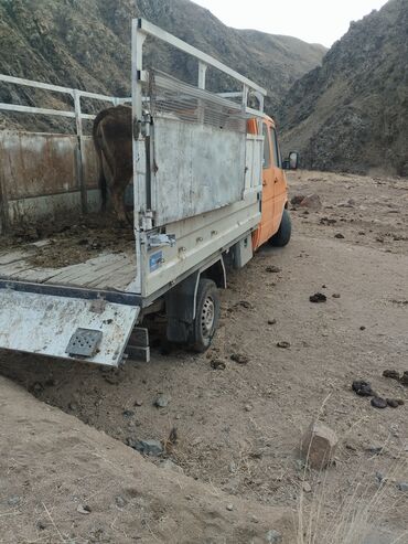 Mercedes-Benz: Mercedes-Benz Спринтер: 1998 г., 2.9 л, Механика, Дизель, Бус — 3