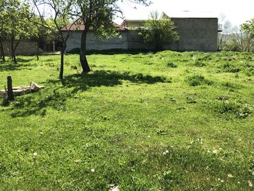 Torpaq sahələrinin satışı: 30 sot, Kənd təsərrüfatı, Mülkiyyətçi, Kupça (Çıxarış) -da lalafo.az — 19 Torpaq sahələrinin satışı: 30 sot, Kənd təsərrüfatı, Mülkiyyətçi, Kupça (Çıxarış) — 19