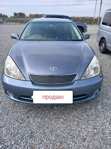 машина fit: Toyota Windom: 2005 г., 3 л, Автомат, Бензин, Седан