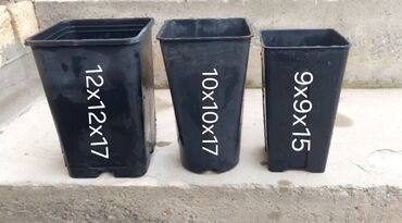 bitki toxumlari: Ting ve gul cicekler ucun plastik qablar