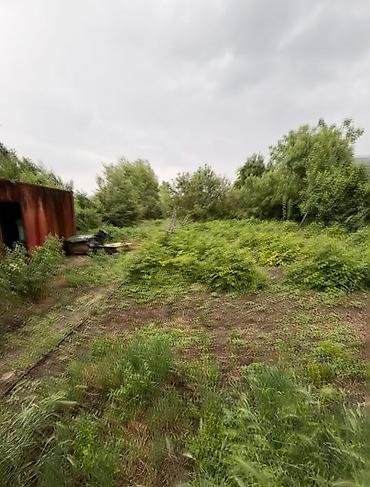 Продажа коттеджей и домов: Продается дом!Военно Антоновка,начало,17.6 соток(красная книга),100 — 3