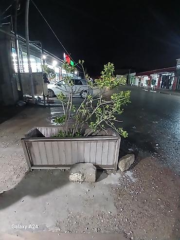 Digər oyun və konsollar: Unvan bine qesebesi Qelyam 1 ed tutun cem 5 kq komir qabi 1 ed mallas — 33