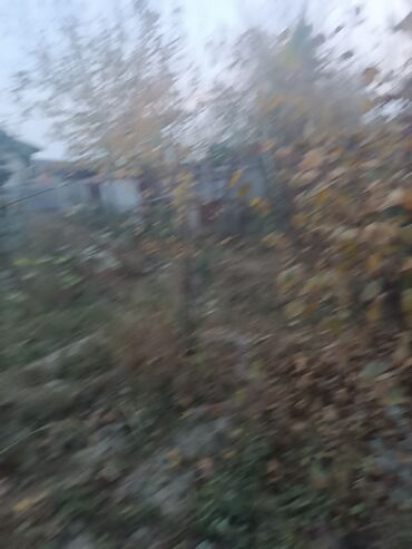 Divan və kreslo dəstləri: Yeni, Divan, 2 kreslo -da lalafo.az — 27 Divan və kreslo dəstləri: Yeni, Divan, 2 kreslo — 27