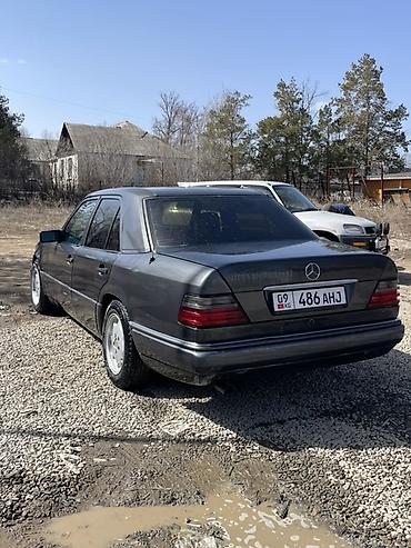 продаю беларус: Mercedes-Benz W124: 1990 г., 2.2 л, Механика, Бензин, Седан — 1