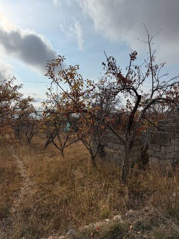 Продажа домов: Дом, 47 м², 2 комнаты, Собственник — 15