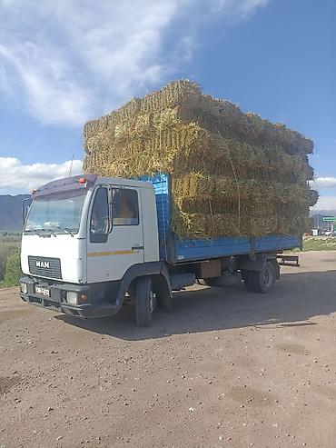 ман 8 180: Грузовой бортовой MAN - Марка/модель: MAN, бортовой грузовик. - — 8
