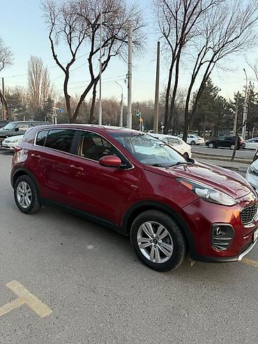 авто кж: Kia Sportage: 2017 г., 2.4 л, Автомат, Бензин, Кроссовер — 4