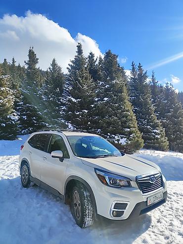 gorent: Аренда авто в Бишкеке — Subaru Forester (белый кроссовер) От 3 дней — 3