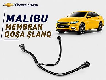 Chevrolet Malibu, Orijinal, Yeni lalafo.az -da Chevrolet Malibu, Orijinal, Yeni