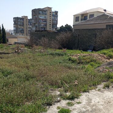 Torpaq sahələrinin satışı: 16 sot, Tikinti, Mülkiyyətçi, Kupça (Çıxarış) — 11