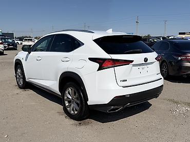 Унаа сатуу: Lexus NX: 2020 г., 2 л, Автомат, Бензин, Кроссовер — 3