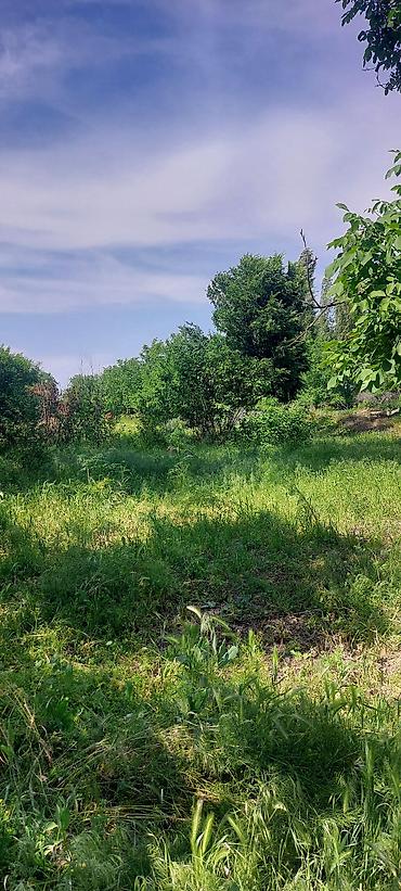 грин лэнд: Дом с участком рядом с городом. Село Туз, Иссык Атинский район, от — 5