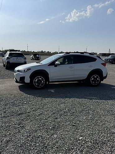 outback 2017: Subaru XV: 2020 г., Кроссовер — 4