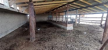 Продажа сельхоз предприятий: Ферма КРС, 10 соток, Не действующий, Без оборудования, Без коммуникаций, Электричество, Скважина — 11