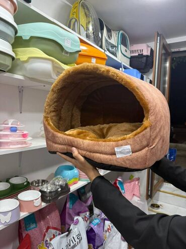 İtlər: Pet Life.az balaca dostlarınız üçün lazım olan hər şeyi daha münasib