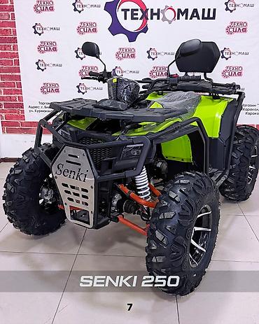 Квадроциклы: Квадроцикл Бензин, 250 куб. см, Взрослый — 7