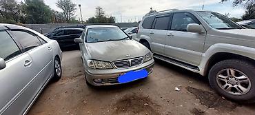 Продажа авто: Nissan Sylphy: 2002 г., 1.8 л, Автомат, Бензин, Седан — 3