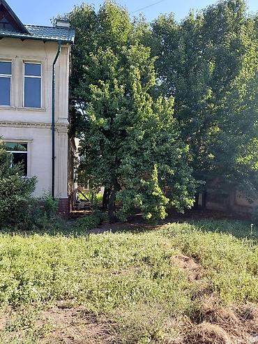 улица: 6 комнат и более, 254 м², 9 соток, Джал, Собственник — 4