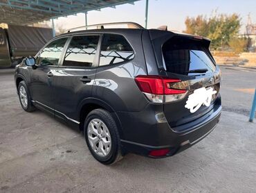 Subaru: Subaru Forester: 2020 г., 2.5 л, Автомат, Бензин, Кроссовер — 3