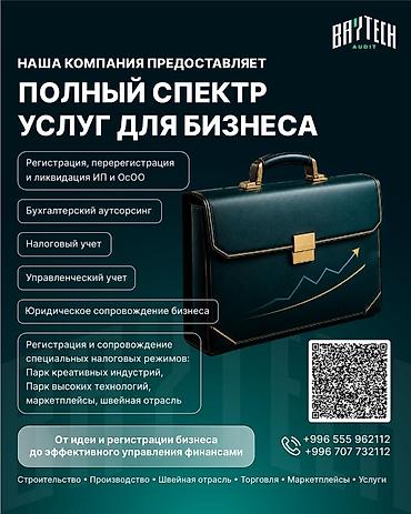 не ликвид: Бухгалтерские услуги | Подготовка налоговой отчетности, Сдача налоговой отчетности, Консультация — 1