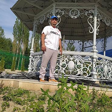 Навесы: Кованые навесы и козырьки из металла под заказ - Назначение: навесы — 32