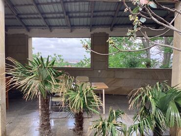 Həyət evləri və villaların satışı: 7-ci mikrorayon 4 otaqlı, 250 kv. m, Kredit yoxdur, Yeni təmirli -da lalafo.az — 5 Həyət evləri və villaların satışı: 7-ci mikrorayon 4 otaqlı, 250 kv. m, Kredit yoxdur, Yeni təmirli — 5