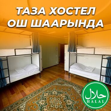 аренда частных домов: 🛏️ NOVO Хостели - ХАЛАЛ! ❤️ Ош шаарынын борборунда Адрес: Кадыркула