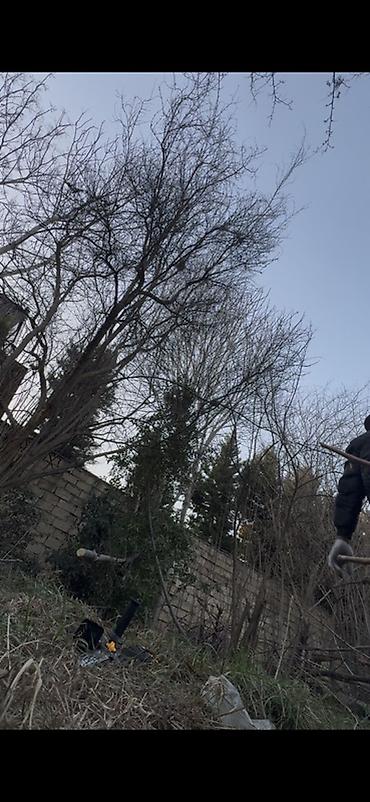 Landşaft işləri: Resulzade qesebesi pasyolka kirovda ne qeder isteyirsen odun var — 1