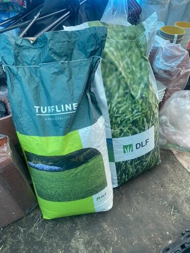 Зерновые культуры: Предлагаются семена газонной травы различных сортов, включая — 5