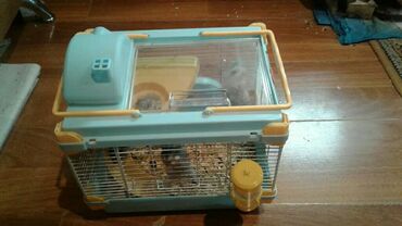 Su və yem qabları: Shekilleri cevirin Xamyaklar ucun her bir aksesuarlar satilir — 10