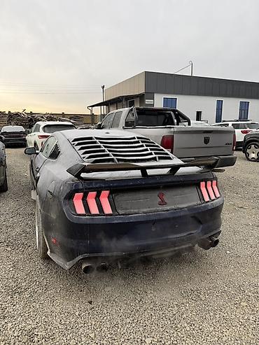 Ford: Ford Mustang: 2019 г., 2.3 л, Автомат, Бензин, Купе — 10