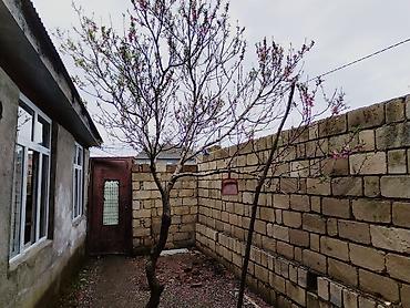 zal studio evler: 3 otaqlı, 33 kv. m, Kredit var, Yeni təmirli — 2
