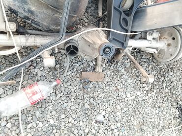 Starterlər: Vaza ayid pütün zapcas var — 7