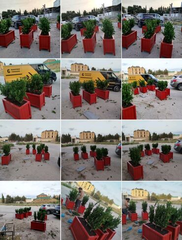 Bitkilər üçün dibçəklər: Taxta dipçəklər Bir başa sexdən.Sex qiymətinə. ♦️Endrim 2025 — 15