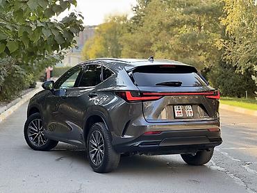окончательно: Lexus NX: 2022 г., 2.5 л, Автомат, Гибрид, Кроссовер — 5