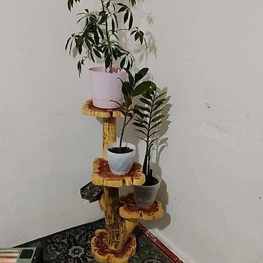 Полки, этажерки для цветов: Полка, этажерка для цветов, Дерево — 14