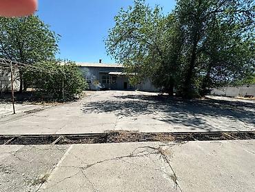 Продажа участков: 857 соток — 10