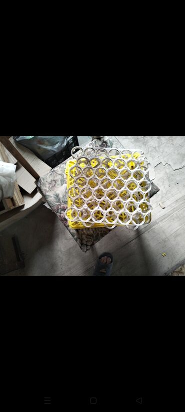 İnkubatorlar: İran, Tam avtomat — 5