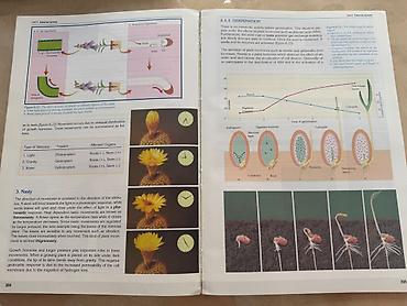 Книги и журналы: Məhsul: “Biology 3” dərsliyi Nəşriyyat: Sürat Publications ( — 3