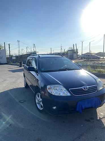 кок талаа: Toyota Corolla: 2004 г., Кол менен иштөөчү, Универсал — 4