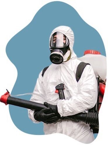 Дезинфекция, дезинсекция: Дезинфекция, дезинсекция, | Блохи, Вирусы, микробы, Клопы, | Подвал, погреб, Подъезды, Транспорт — 14