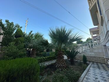 Həyət evləri və villaların satışı: Bakıxanov qəs. 9 otaq, 400 kv. m, Yeni təmirli — 4