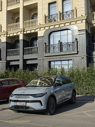 Другие детали салона: Электромобиль LEAPMOTOR — интерьер и мультимедиа премиум-класса — 13